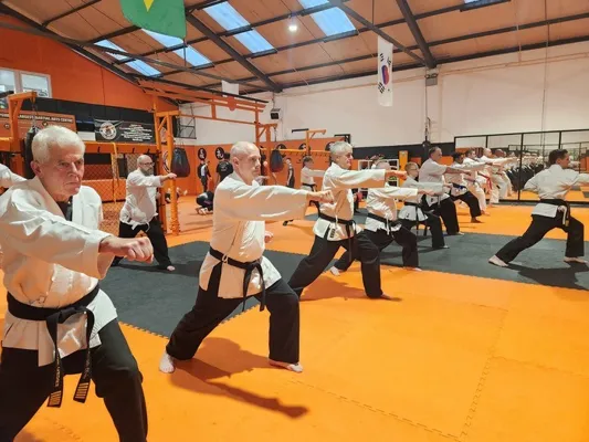 Adult Karate
